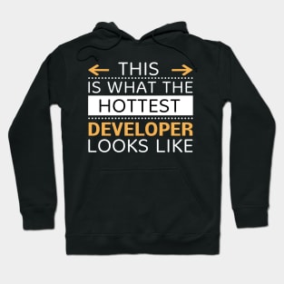 Developer Looks Like Creative Job Typography Design Hoodie